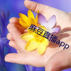 鶹ֱapp