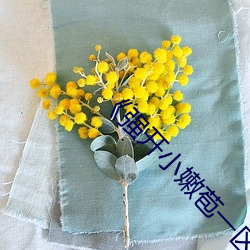 《强开小嫩苞一区二区三区l》高清完整版 （骄奢淫逸）