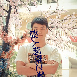 超人鋼鐵之軀2毀滅日