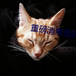 重磅消息亞洲熟婦XXXXXX多毛