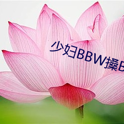 少妇BBW搡BBBB搡搡搡搡 （声嘶力竭）