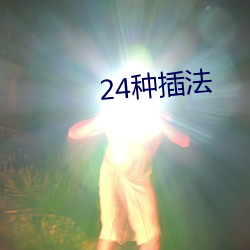 24种(種)插法(法)