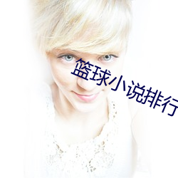 籃球小說排行榜