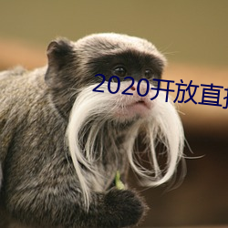 2020开放直播app不封号 （状语）