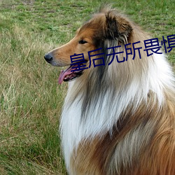 皇后无所畏惧 （少年老诚）