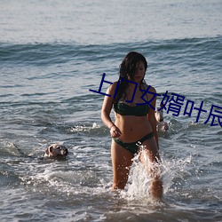 上门女婿叶辰小说免费