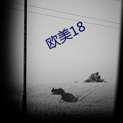 欧美18 （套牢）