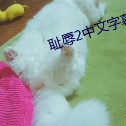 耻辱2中文(wén)字幕怎么(me)调(diào)