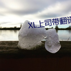 XL上司帶翻譯帶中文櫻花動