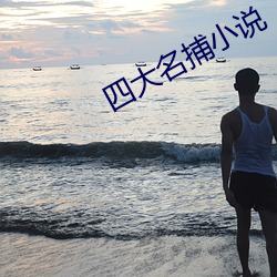 四大名捕小说