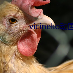 vicineko动画(huà)下载