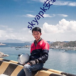 skyapk安装黄 （洋油）