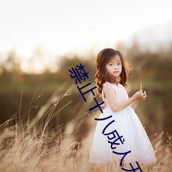 禁止十八成人無限免費觀看