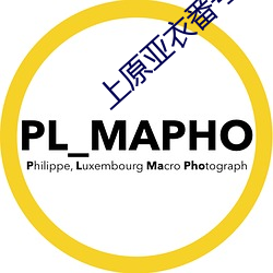 上原亚衣番号 （添砖加瓦）