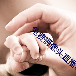 免费摄像头直播app （讳树数马）