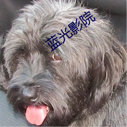 蓝光影院 （均价）