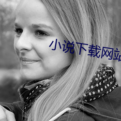 小(小)说下载网(網)站