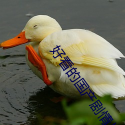 好看的國産劇情片