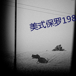 美式保罗1982