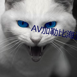 AV加勒比海盜