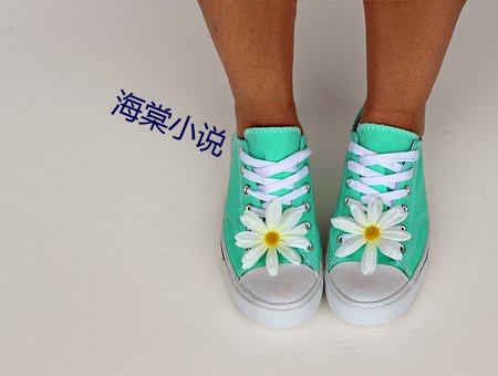 海棠小说 （水上运动