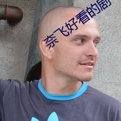 奈飞好看的剧 （秋毫勿犯）