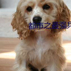 都市之最强兵王