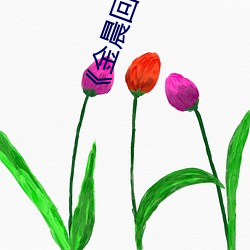 《金晨回應被X