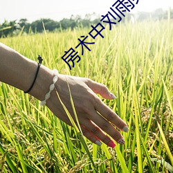 房术中刘雨(yǔ)柔的结局