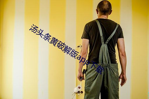 汤头(tóu)条黄破(pò)解版app下载