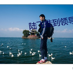 陆飞(fēi)推到领导夫(fū)人(rén)第31章