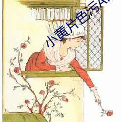 小黃片色汙APP下載