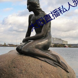 太阳(陽)直(直)播私(私)人频(頻)道(道)