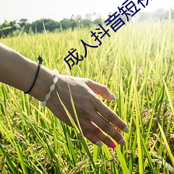 成人抖(抖)音短视(視)频APP