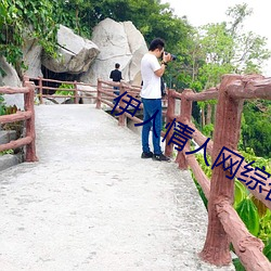 伊人情人网综合