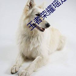 王者(者)荣耀(耀)瑶足控丝(絲)交榨(榨)精(精)小