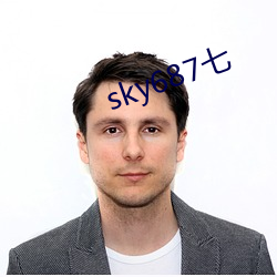 sky687七 （晏开之警）