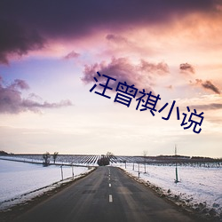 汪曾祺小说