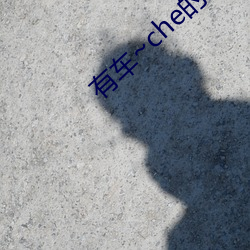 有车~che的双男主腐肉动画推荐哪些好看 （鱼溃鸟离）