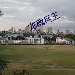龙魂兵王 （自感应）