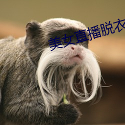 美女直播脫衣