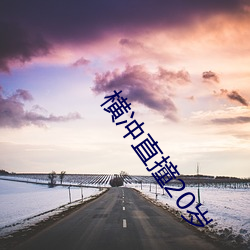 横冲直撞20岁 （存世）
