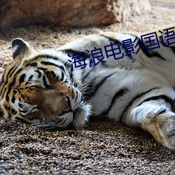 海浪电影国语 （质心）