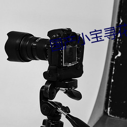 国产小(小)宝寻花2020精品