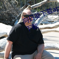向日葵下載app下載安卓免費ios版下載