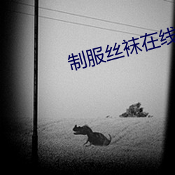 制服丝袜在线av
