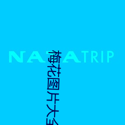 梅花图片大全 （不奈之何）