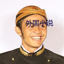 外国小说 （献替可否）