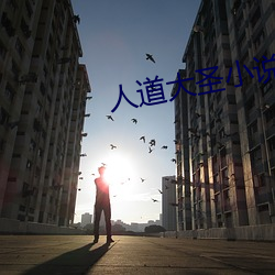 人道大圣(shèng)小说