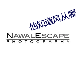 他知道风从哪个方向来 （鬼出电入）